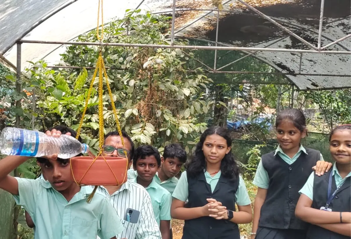 drinking water for birds-4