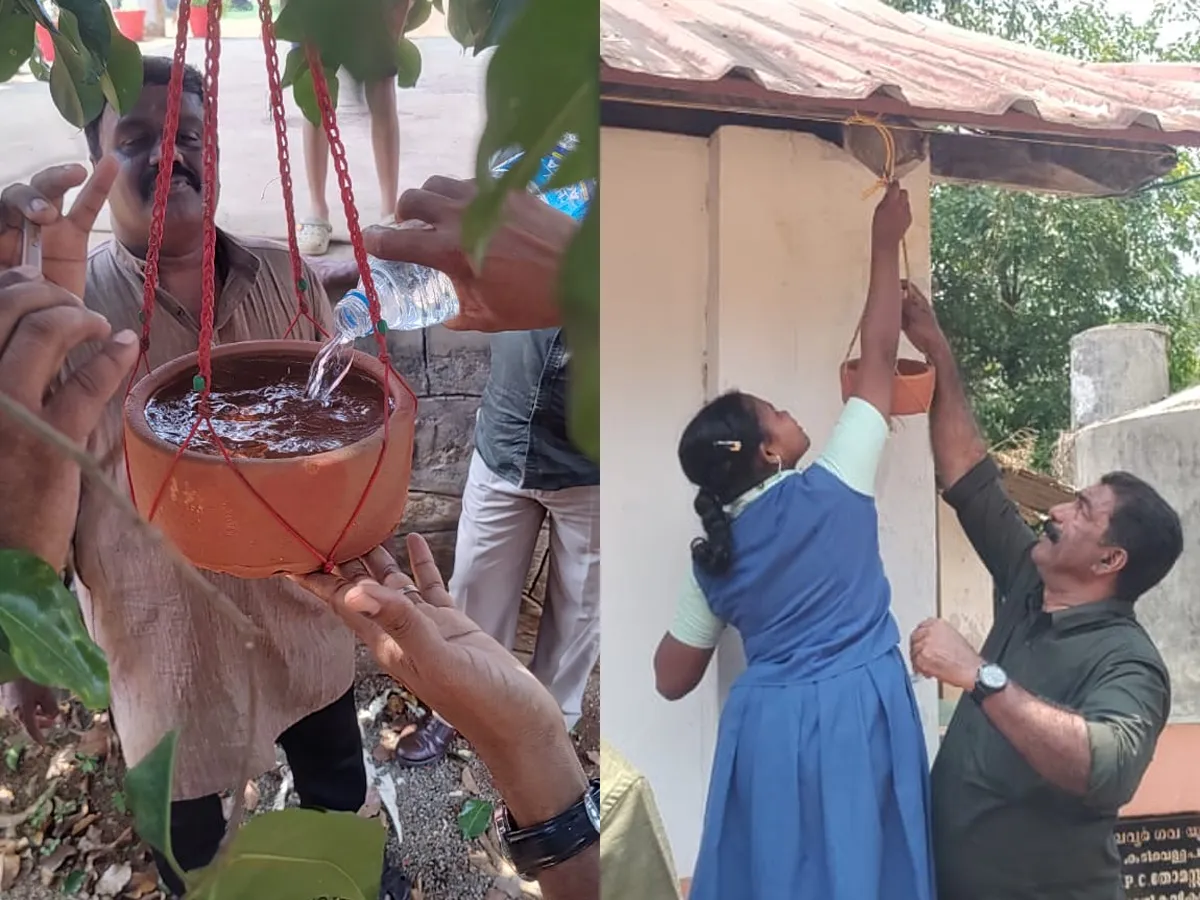 drinking water for birds-5