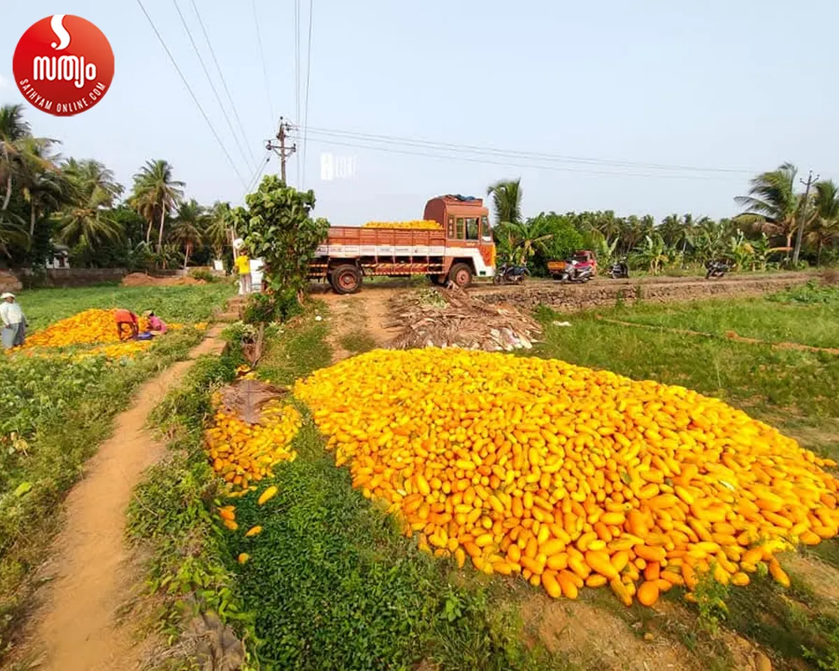 kani vellari-2