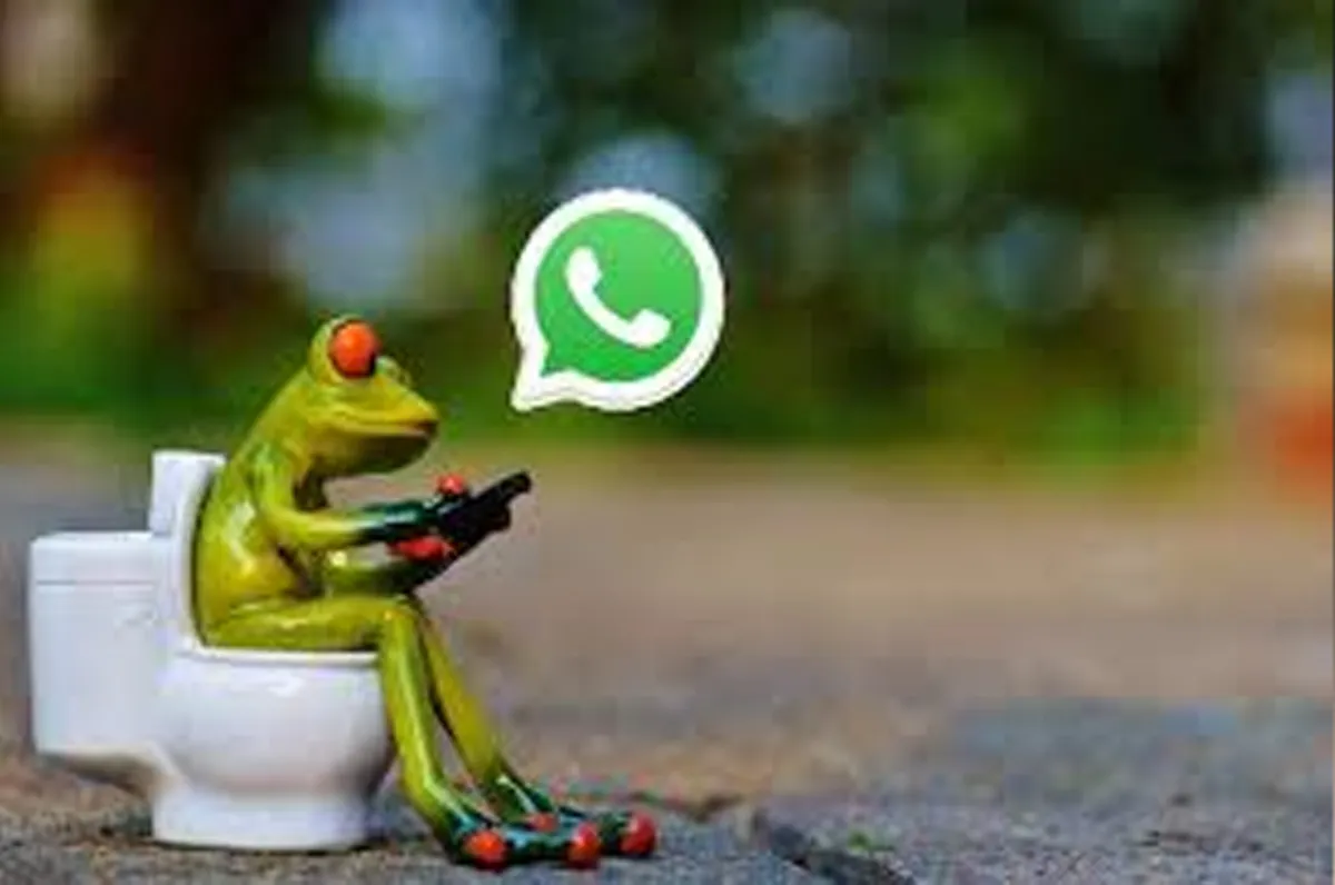 whatsapp group admin
