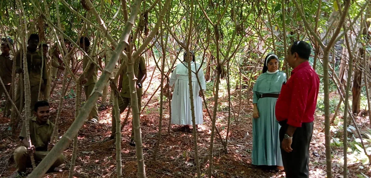 kaduthuruthy mary matha iti-2