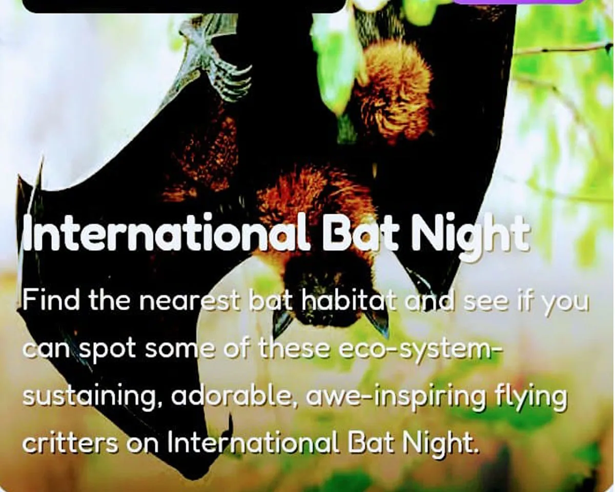 bat night