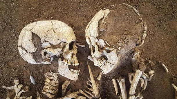 archeological skeleton