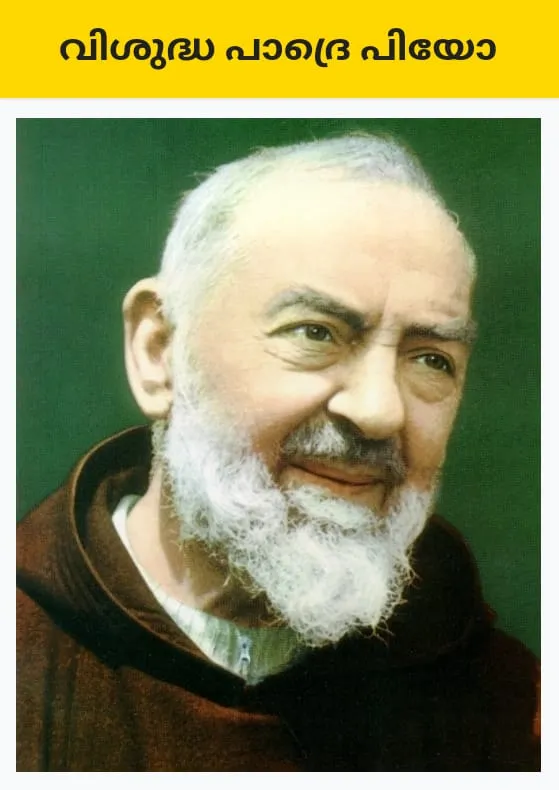 f0129681-81ee-4771-8a57-49a217500a37