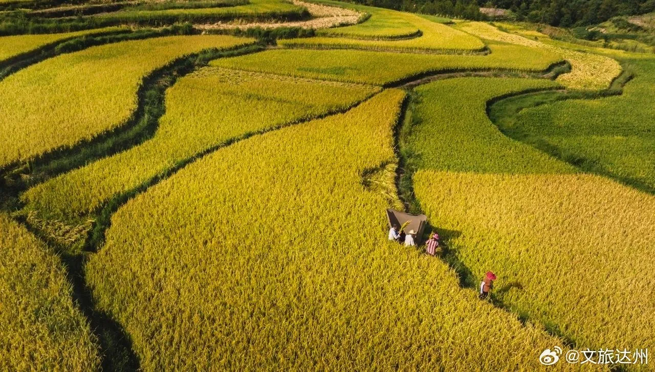 Sichuan