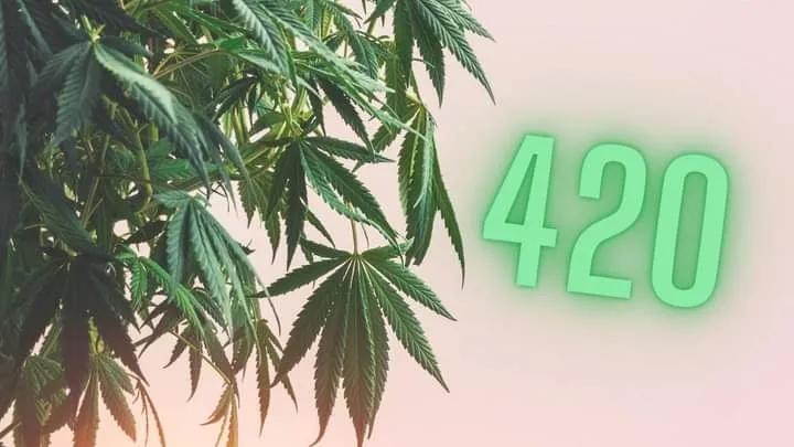 420Untitledb.jpg