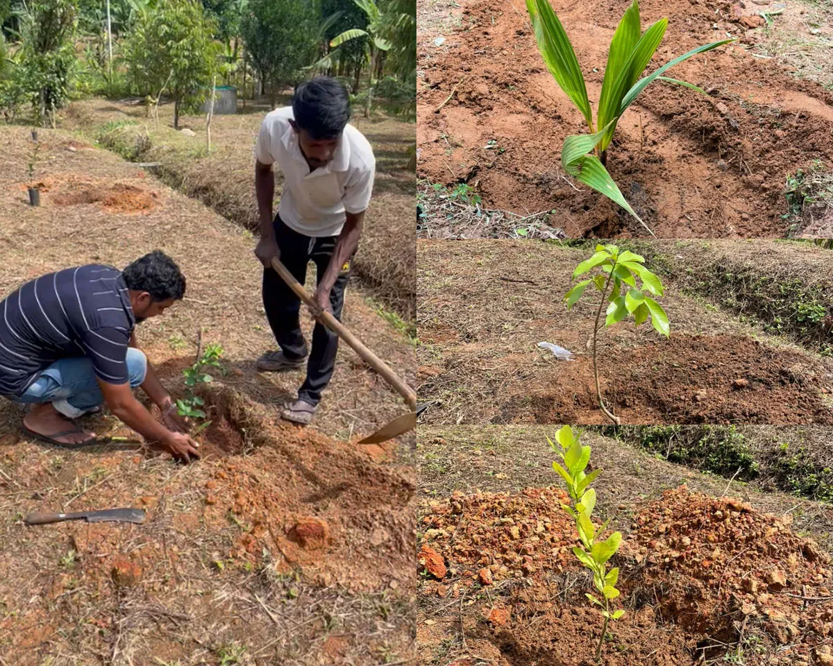 plant for planet-6
