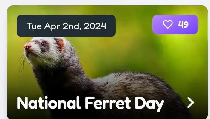 ferret Untitled004.jpg