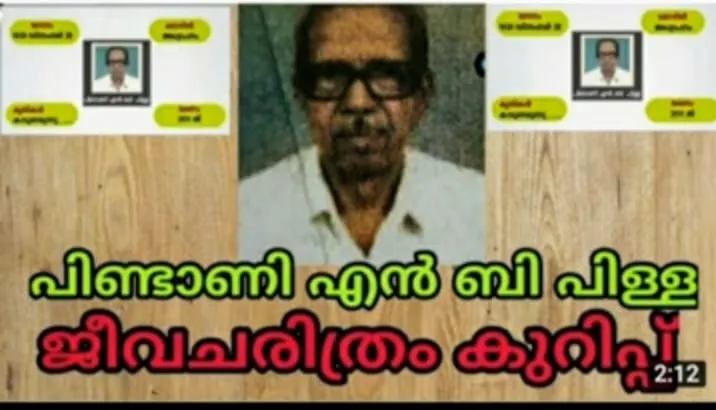 nb pilla untitled.03z.jpg