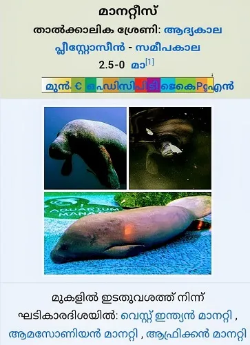 manaUntitlled.jpg
