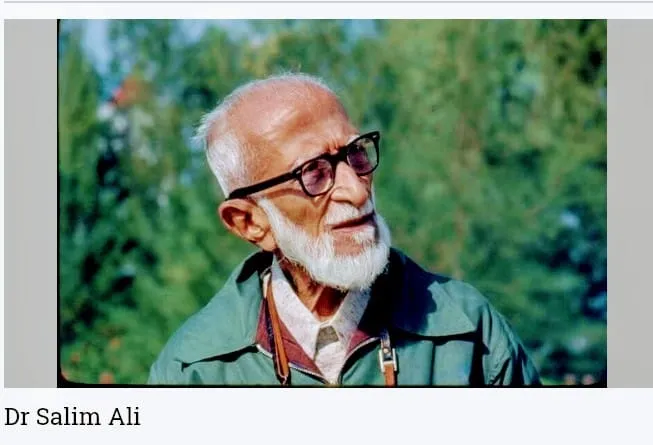 salim ali Untitledkalla.jpg