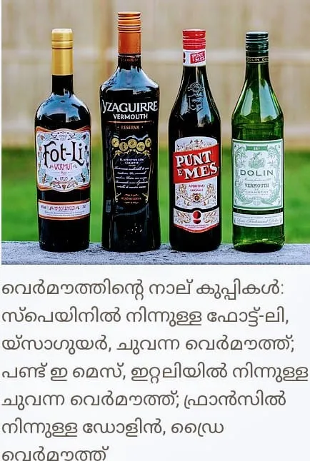 bottele Untitle1.jpg