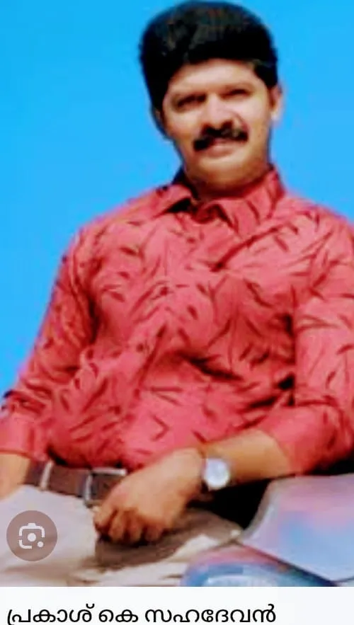 sahadevan Untitled22.jpg