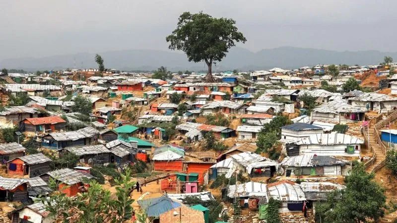 rohingyan