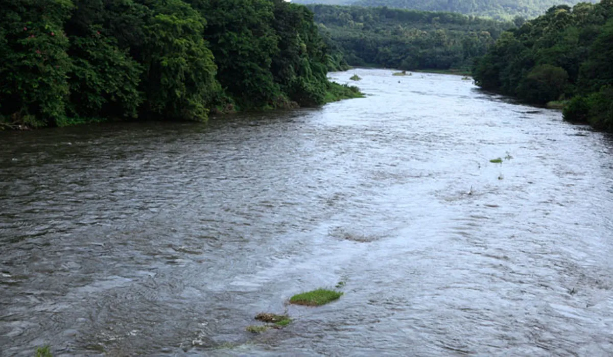 pamba river