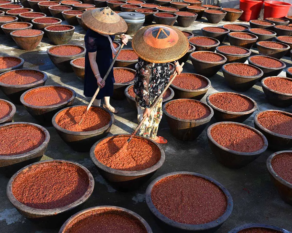 red chilli processing-5