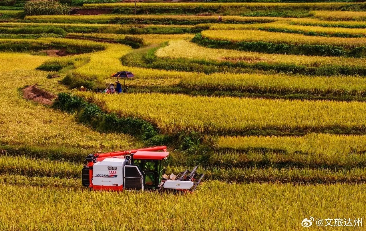 Sichuan