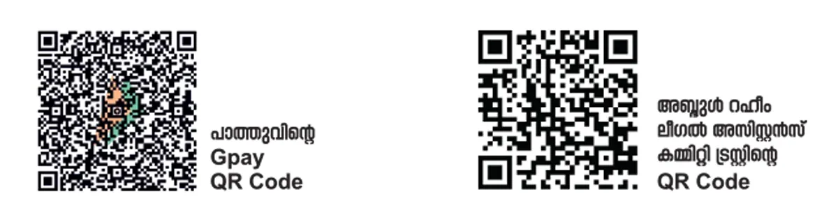 qr code boche