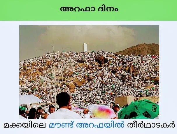 arafa Untitledti.jpg