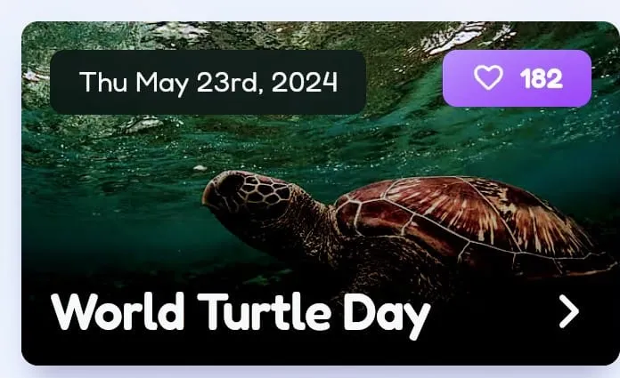 turtle Untitled.b.jpg