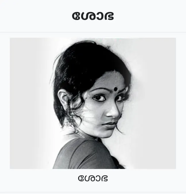 b689e802-435b-4e8c-9920-2c15b13e792a