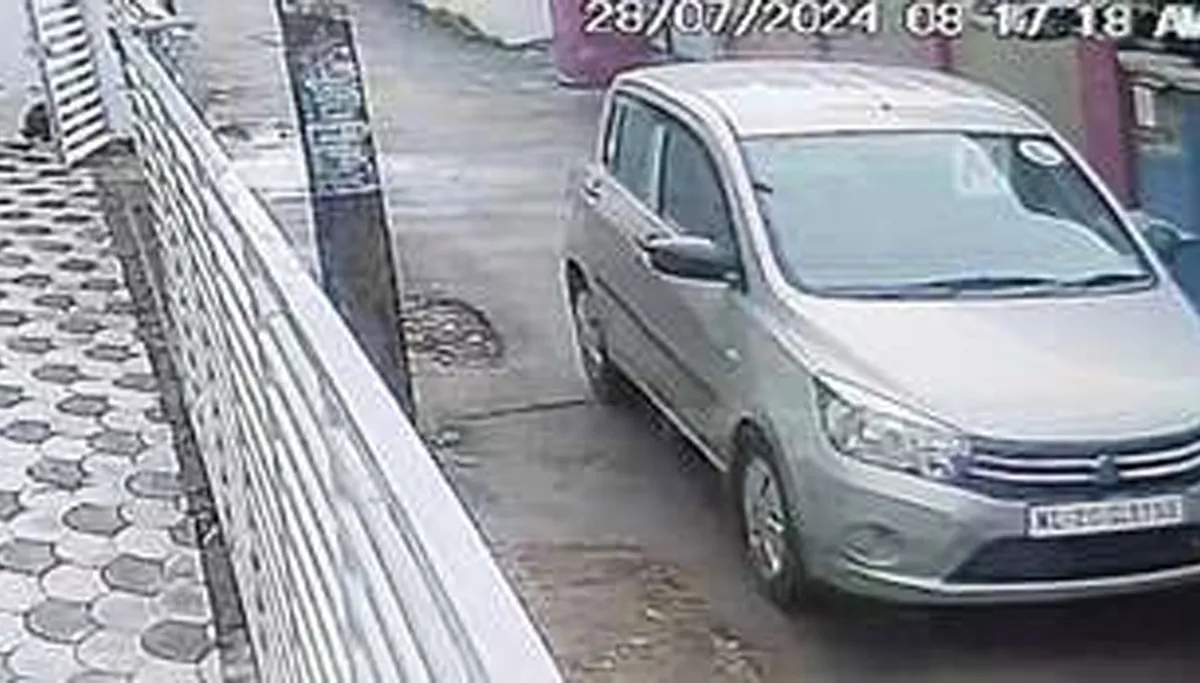 airgun attack-2