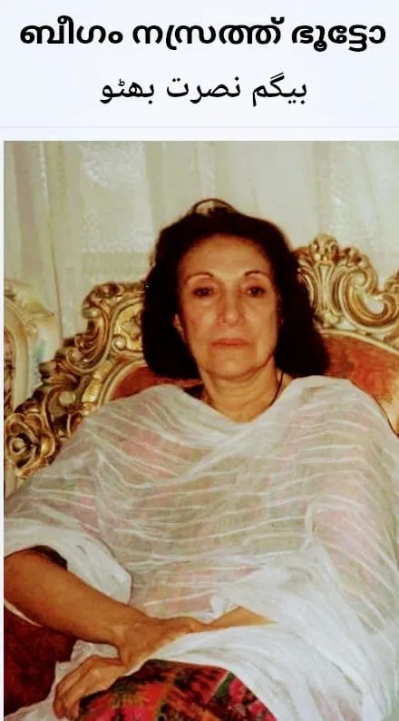 beegam Unntitled.jpg