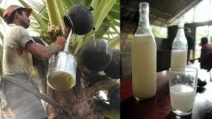toddy