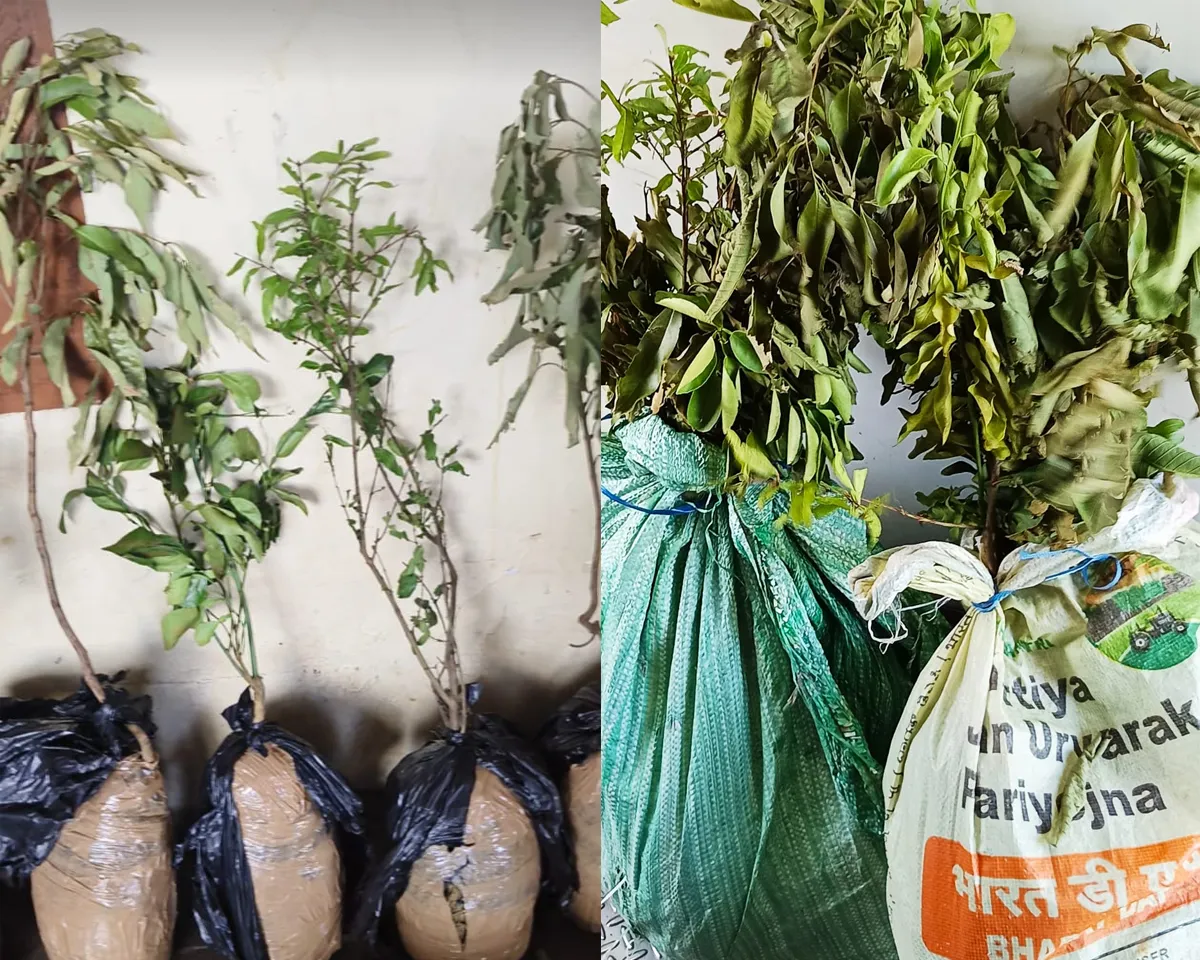 canaby seased palakkad railway station-4