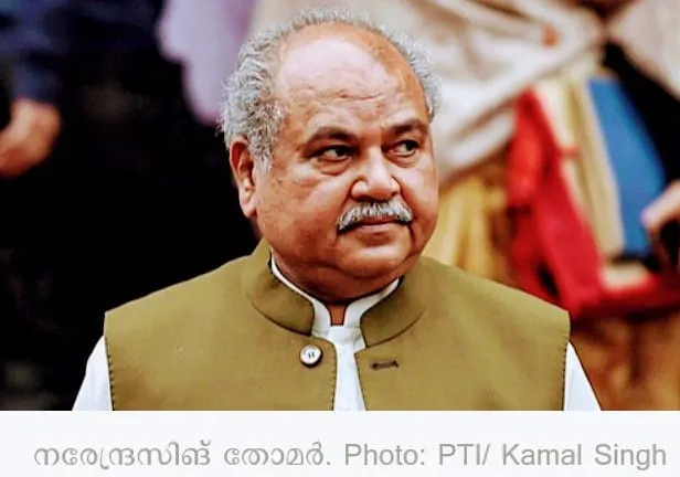 thomar Untitledj.jpg