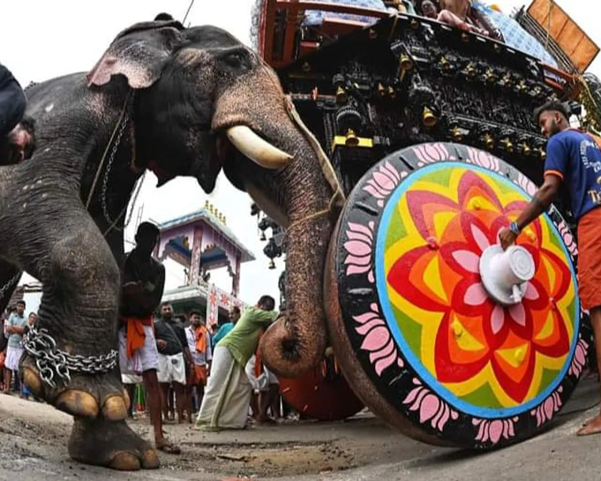 kalpathi theru-3