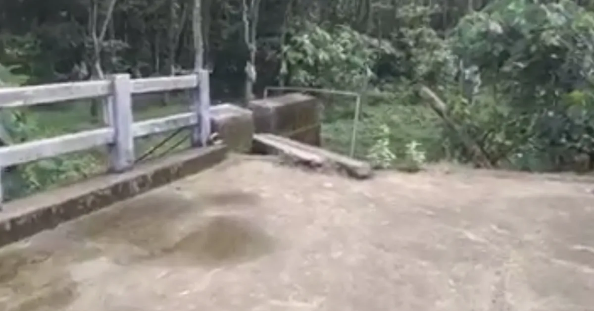 kalariyamakal bridge-