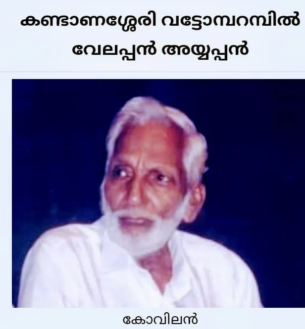 kocilan Untitled.,87.jpg