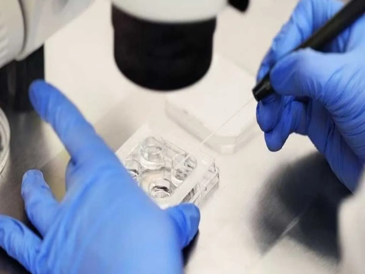 homrton university22.jpg