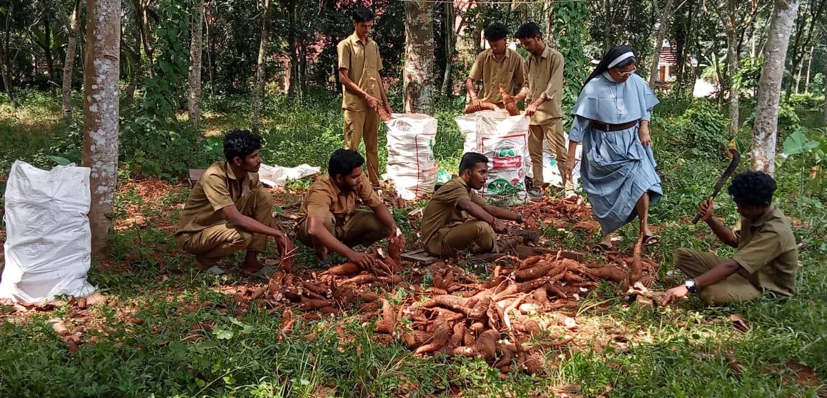 kaduthuruthy mary matha iti-3