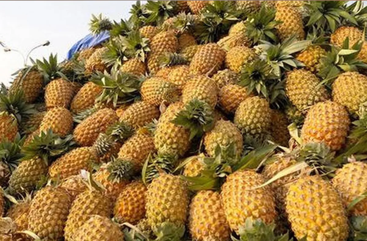 pinapple market