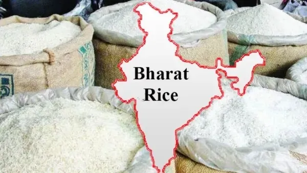 rice8728722