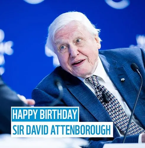 david Untitled2323.jpg