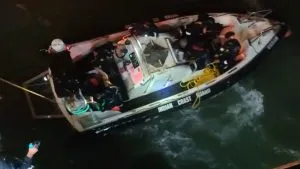 publive-image