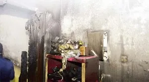 publive-image
