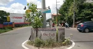 publive-image