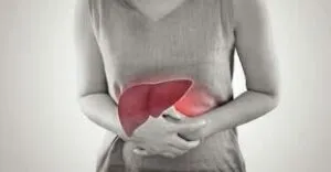 publive-image