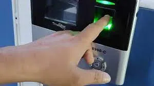 publive-image