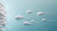 publive-image