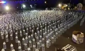 publive-image
