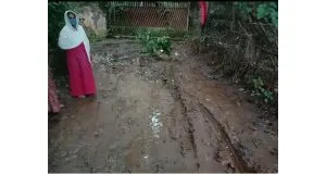 publive-image