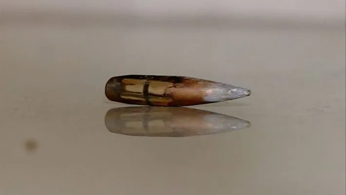 mystery revealed bullet in malayinkeezhu home
