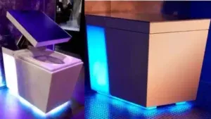 publive-image