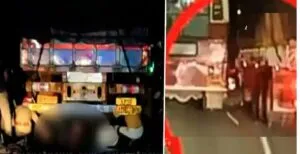 publive-image