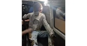 publive-image